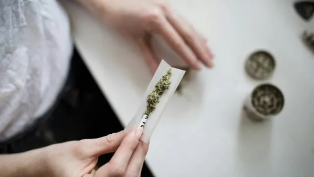 40g maconha.webp