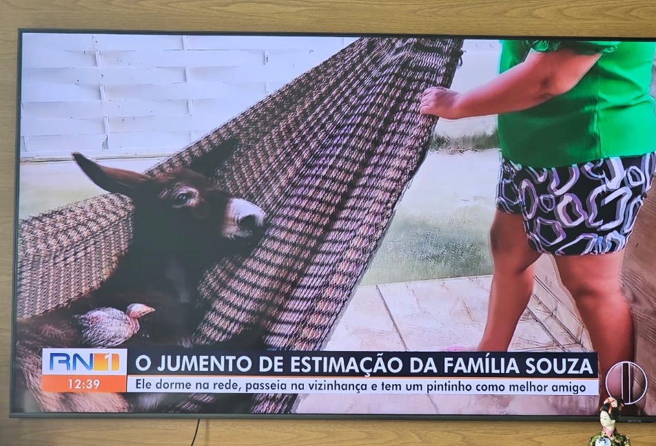 JUmento