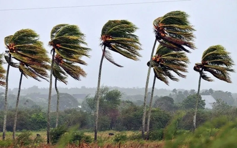 Inmet emite alerta de vendaval para o Rio Grande do Norte