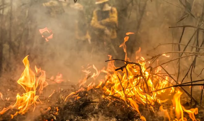 PF abre inquéritos para apurar queimadas em todo o país (Foto: Marcelo Camargo/Agência Brasil/Arquivo)