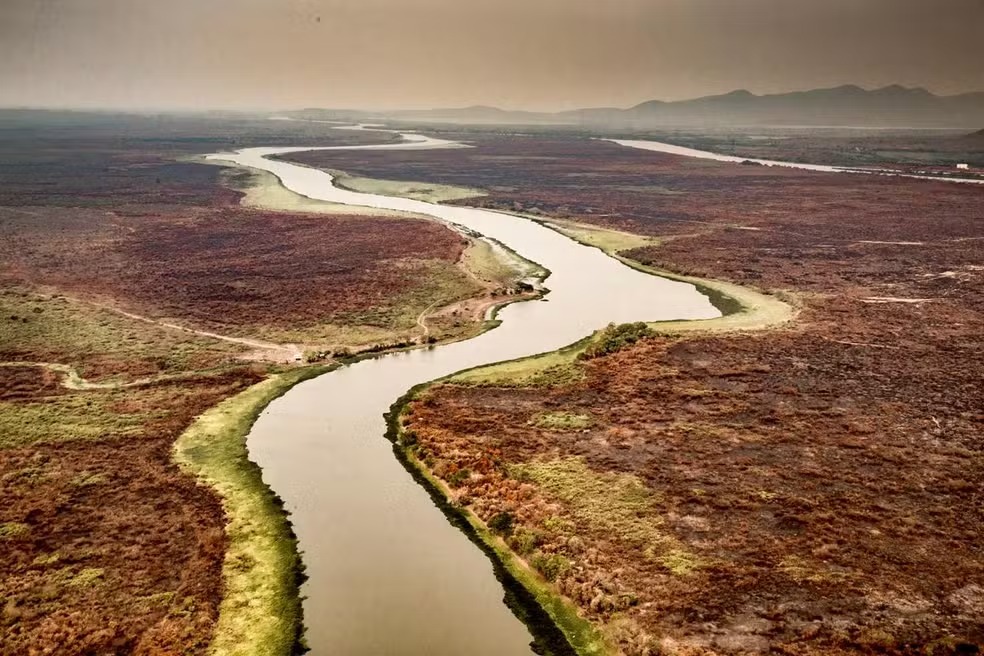 Em 10 dias, Pantanal já tem o dobro do total de incêndios de setembro de 2023 (Foto: Araquém Alcântara)