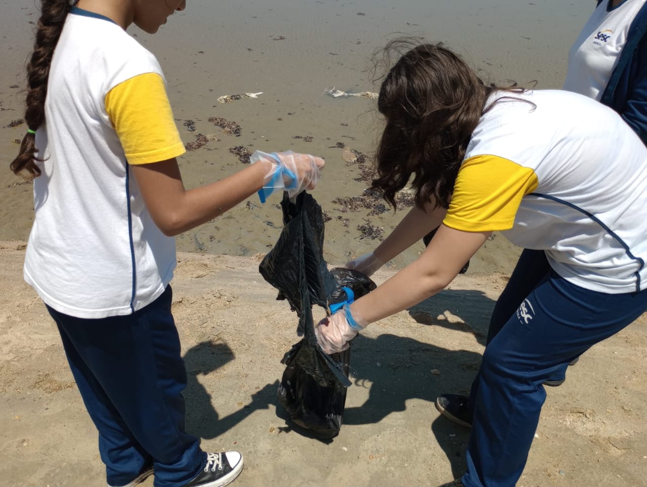 Projeto Oceano (5).jpeg