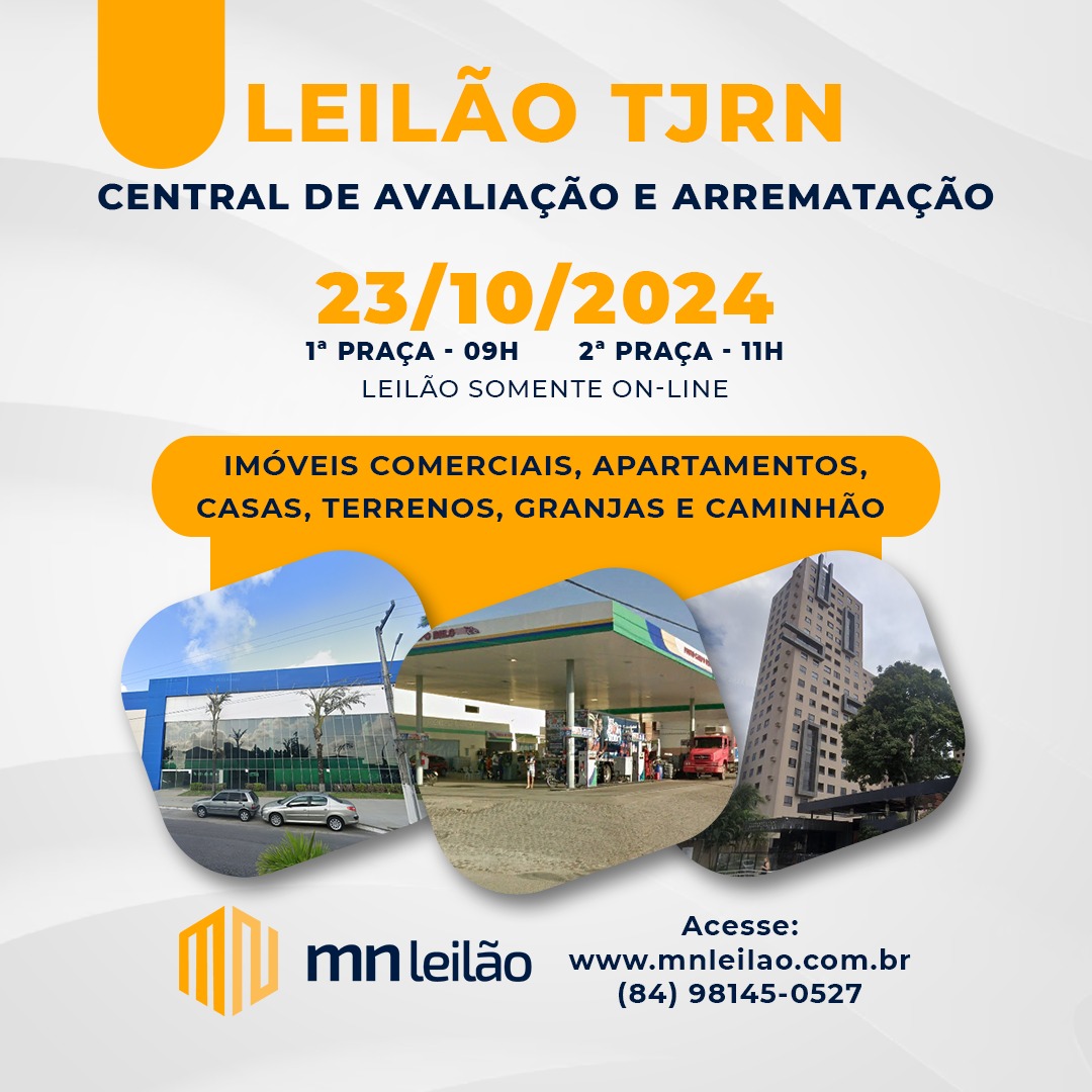 leilão.jpeg