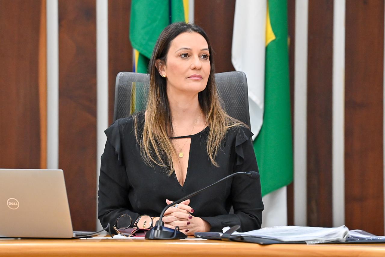 Cristiane Dantas cobra regulamentação de leis sobre cadastro de agressores e pedófilos