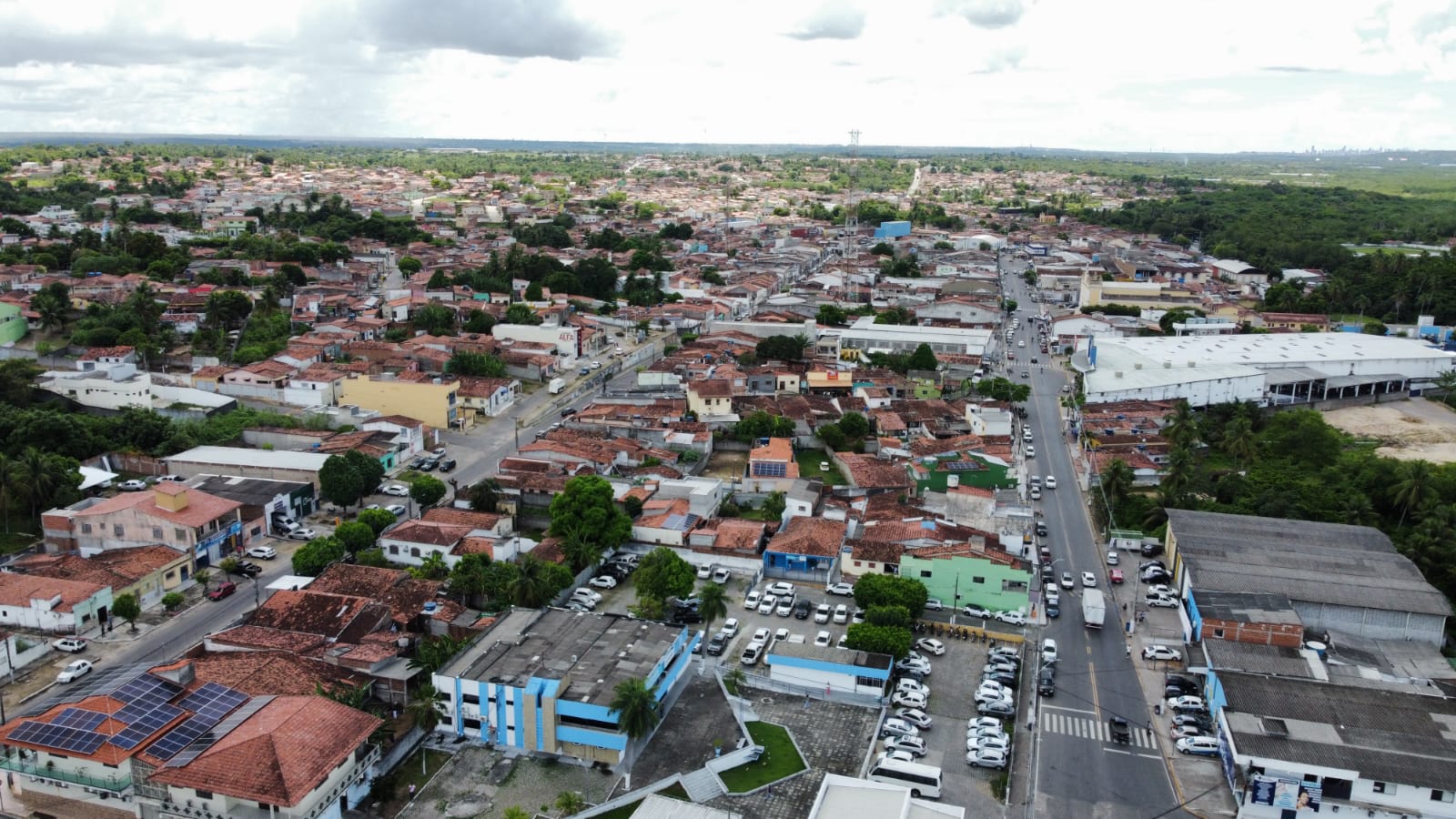 Macaiba Geraldo Neto