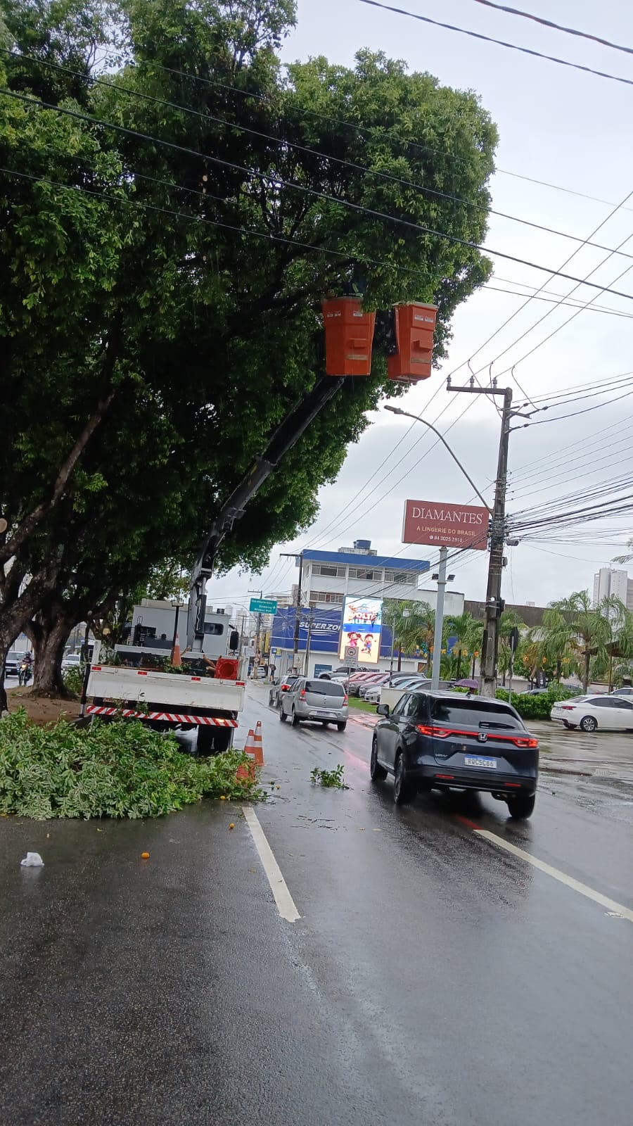 Podas preventivas avançam por toda Natal