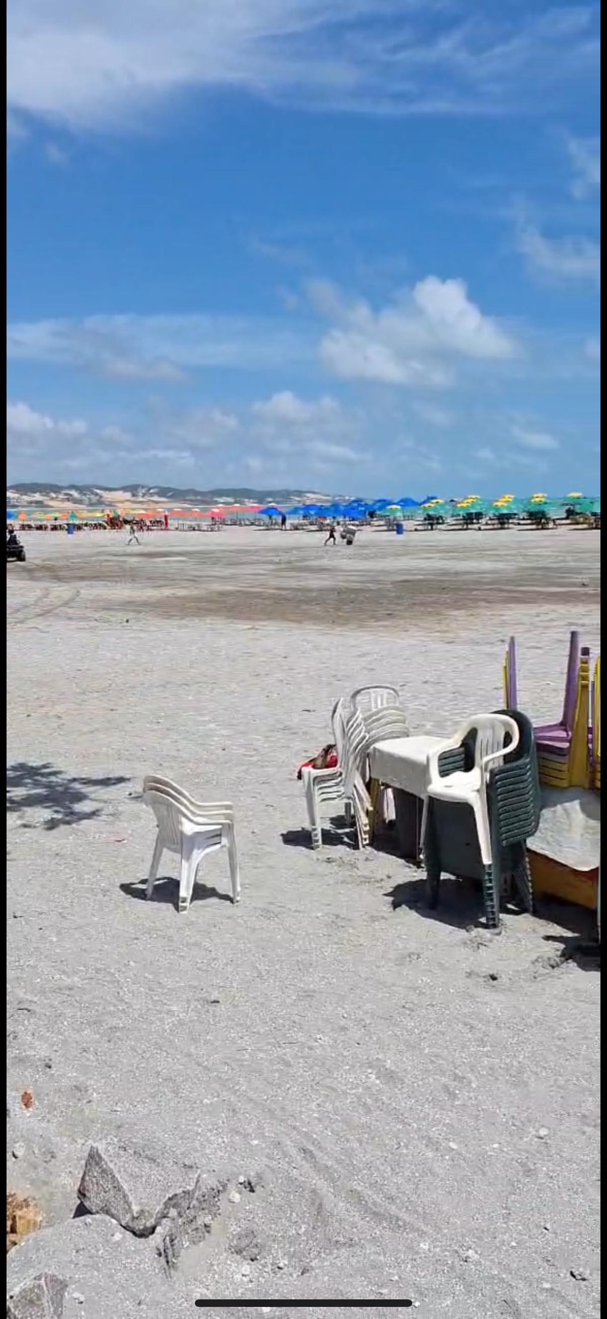 IMG_3091.png
