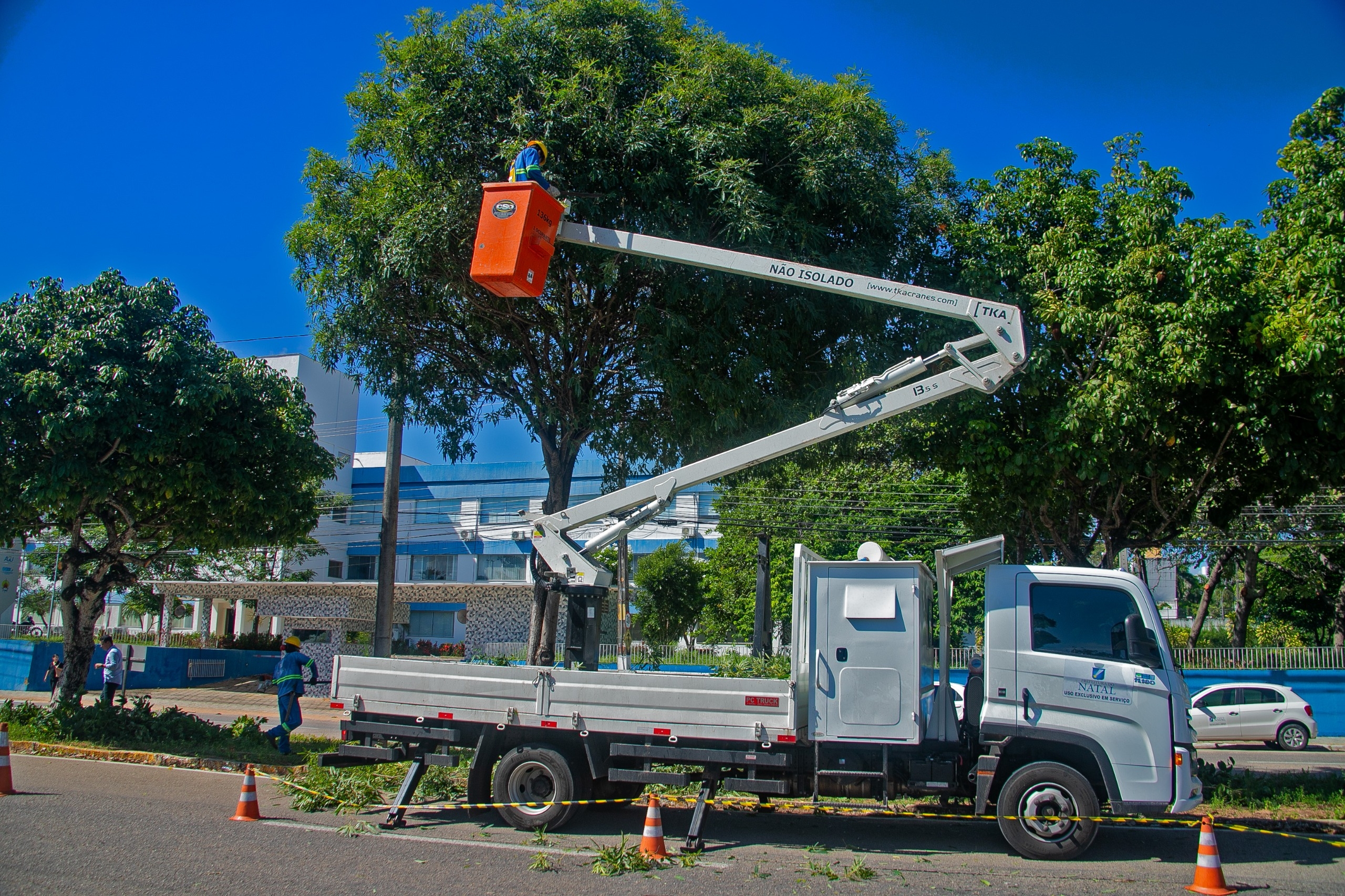 Prefeitura anuncia cronograma de podas em Natal para minimizar impactos no trânsito
