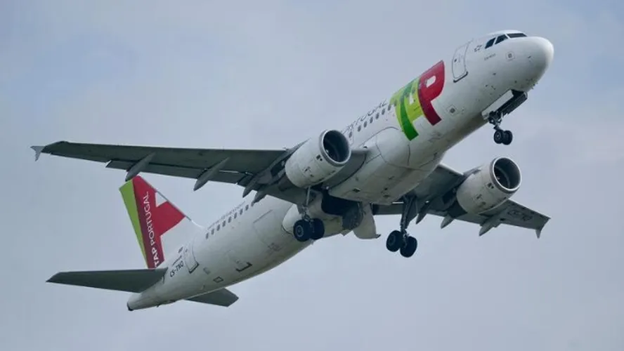 Polícia Federal impede voo de aérea que não quis embarcar cachorro tap