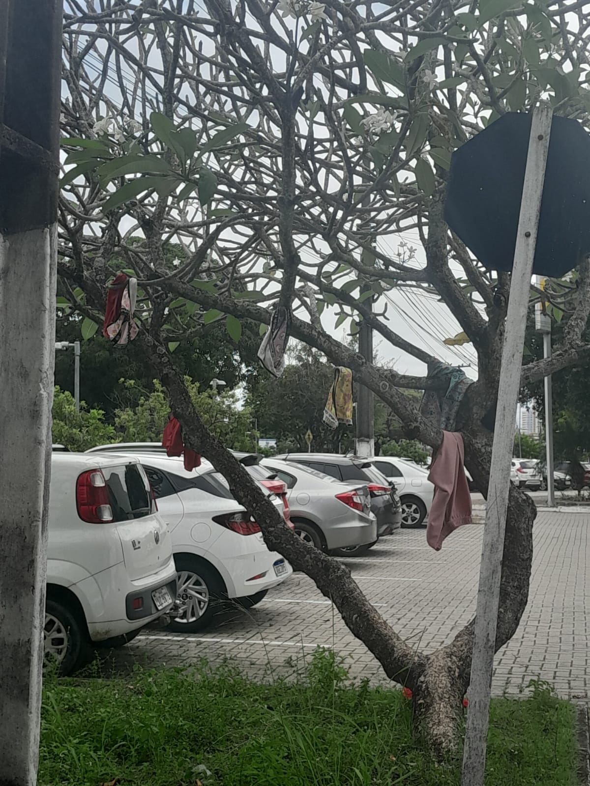 Liberou geral: tem até varal do MST no Centro Administrativo 