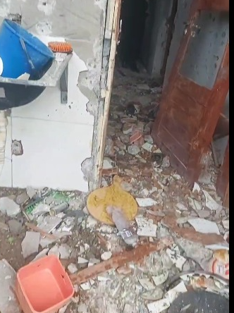  Rastro de destruição na casa em que pica-pau foi cercado pela polícia