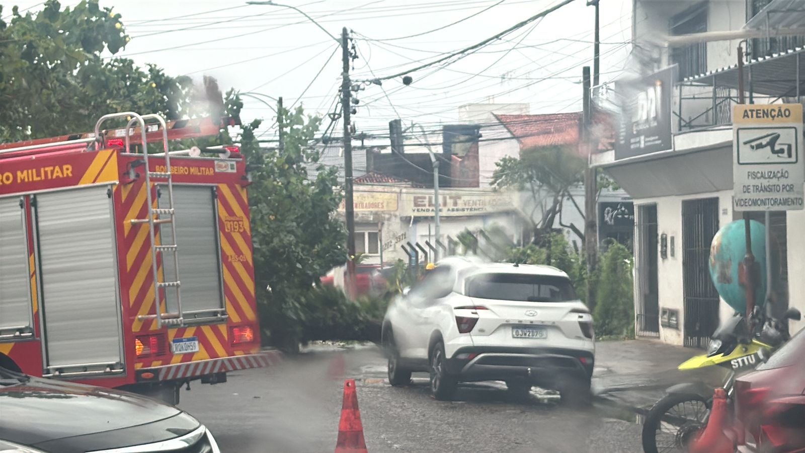 Queda de árvore em frente ao Marista