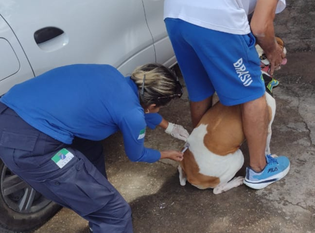 Natal alcança 70% de animais vacinados contra a raiva e divulga locais de vacinação deste sábado