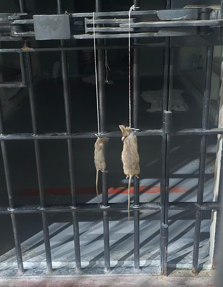 Fugas e mortes no sistema prisional acendem um alerta grave no RN