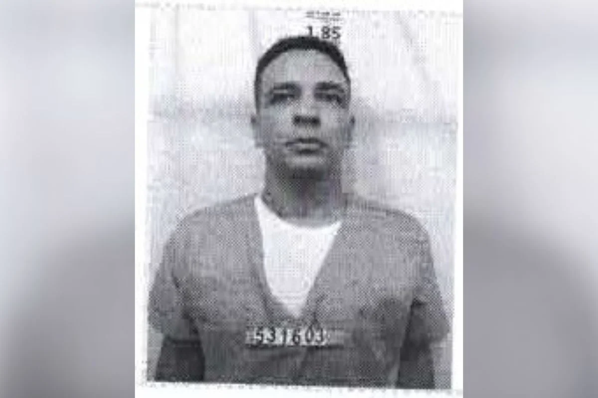 rafael-13.webp