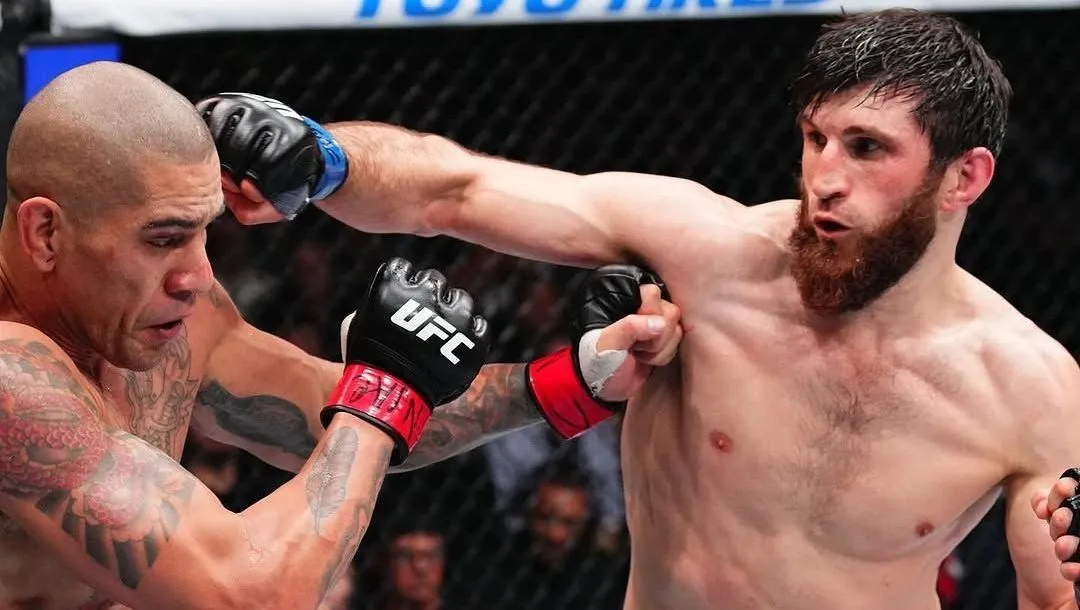 Alex Poatan atropela Magomed Ankalaev e volta a ser campeão do UFC