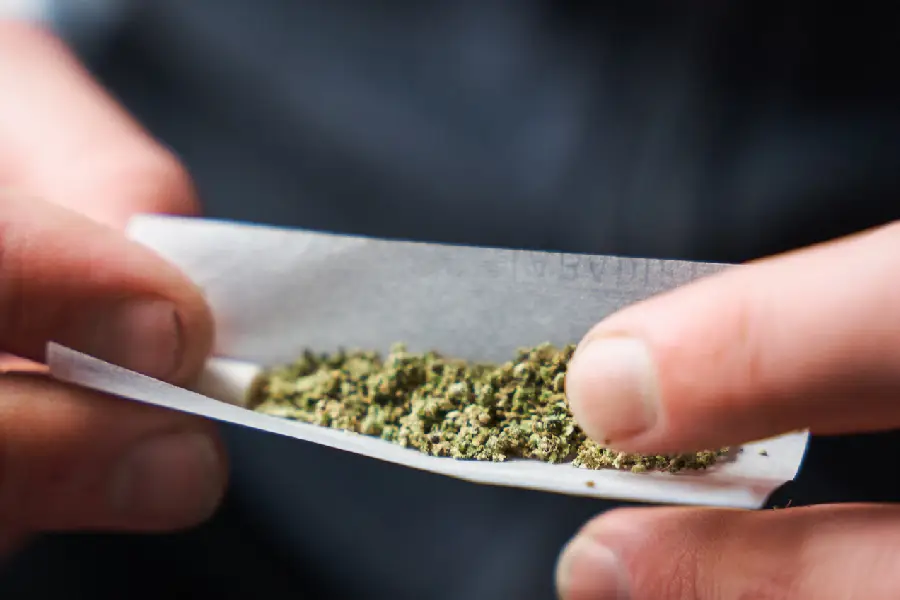 Saiba o estado do Brasil que começa a multar quem fuma maconha em público; saiba número de flagrantes