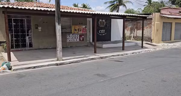 macaiba.avif