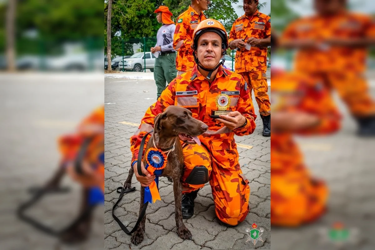 050db243-foto-cadela-bombeiros-bacabal1.webp