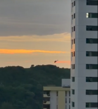 operação mae luiza
