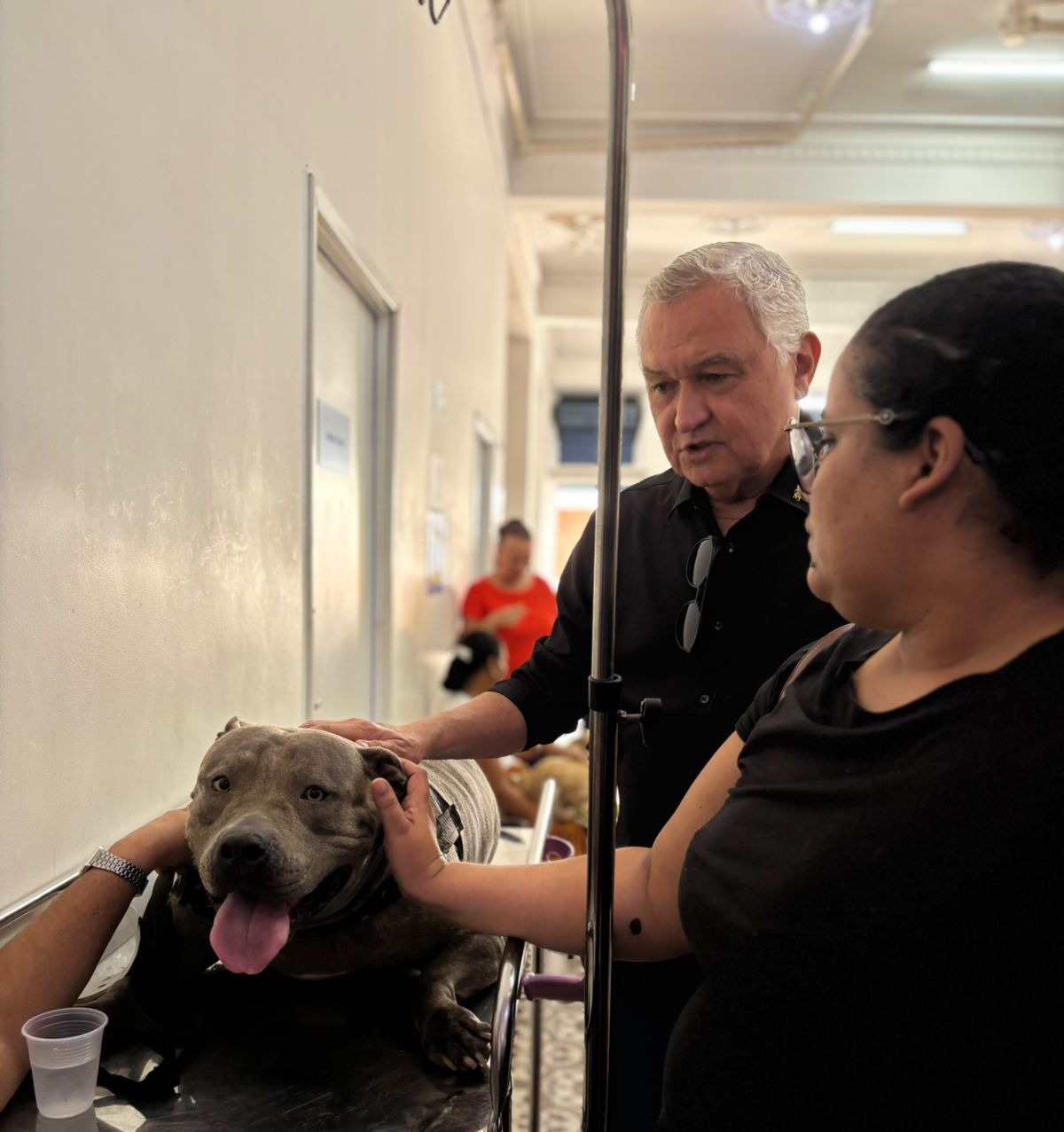 General Girão destina R$ 5 milhões para construção do segundo Hospital Veterinário Público de Natal