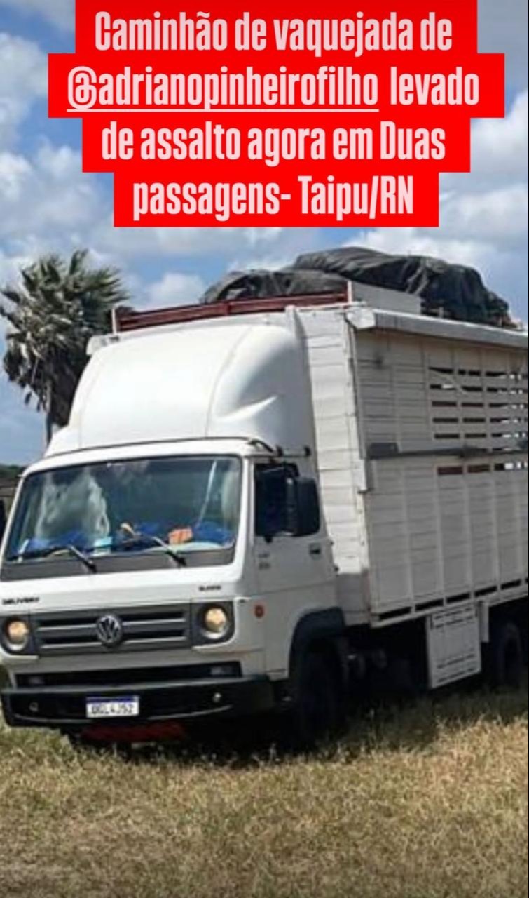 Roubaram caminhão carregado de ovelhas no RN