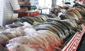 peixe na feira