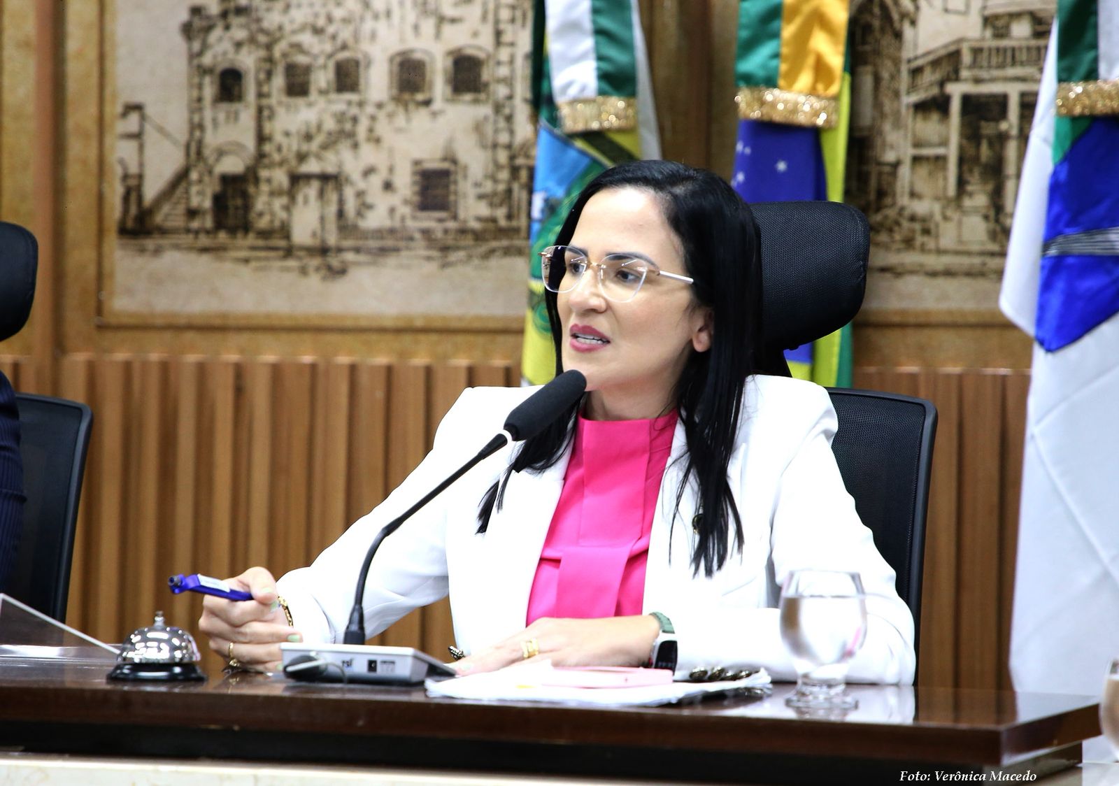 vereadora camila araujo