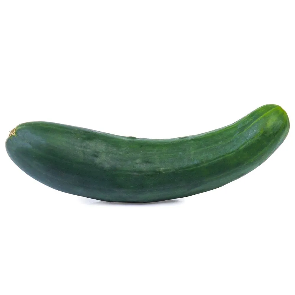 pepino-comum-1-unidade.webp