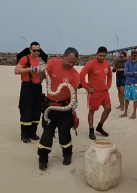 FireShot Capture 1400 - WhatsApp Video 2026 05 15 at 09 17 49 - YouTube - [www.youtube.com].png