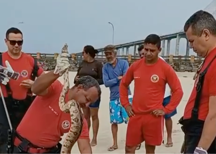 COBRA CAPTURADA NA PRAIA DA REDINHA EM NATAL