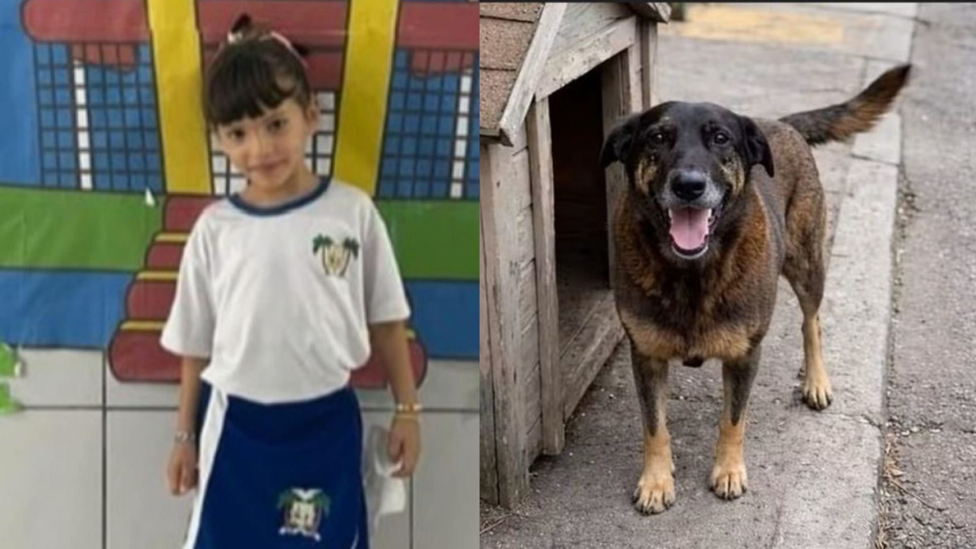 PADRÃO CANAL PRINCIPAL.jpg