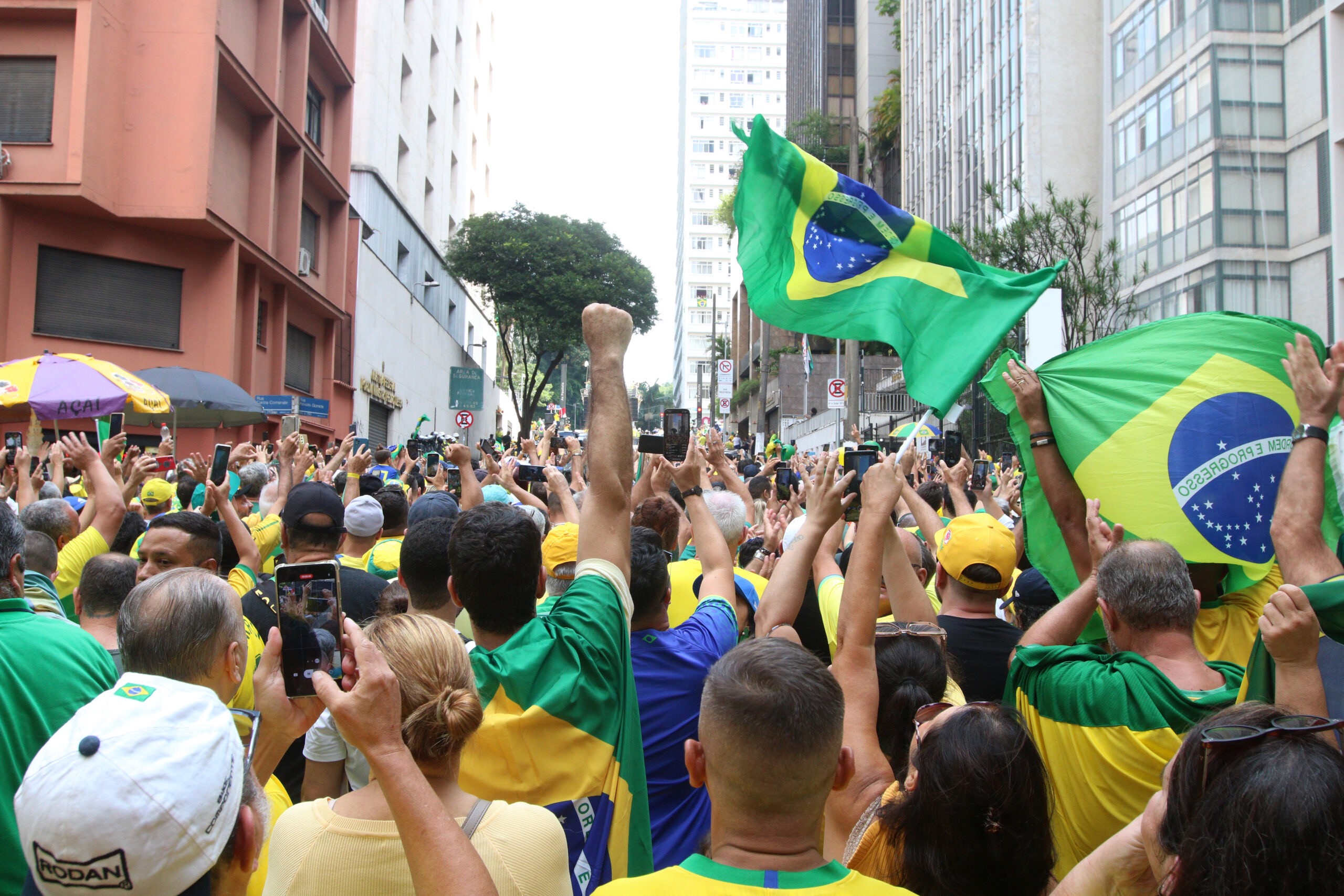 Manifestação de bolsonaristas em 25 de fevereiro, na Avenida Paulista (Rovena Rosa/Agência Brasil)