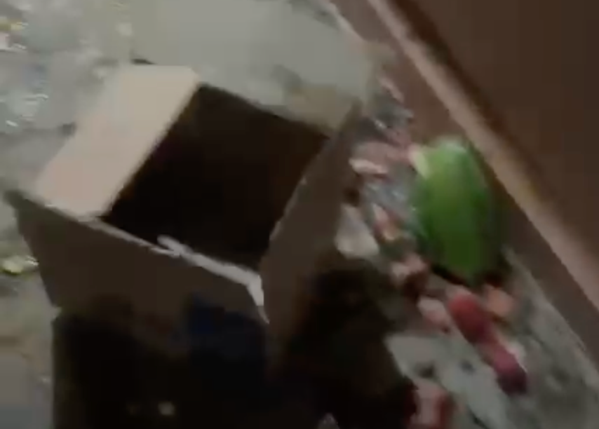 Imagem 18-05-2026 às 21.30.png