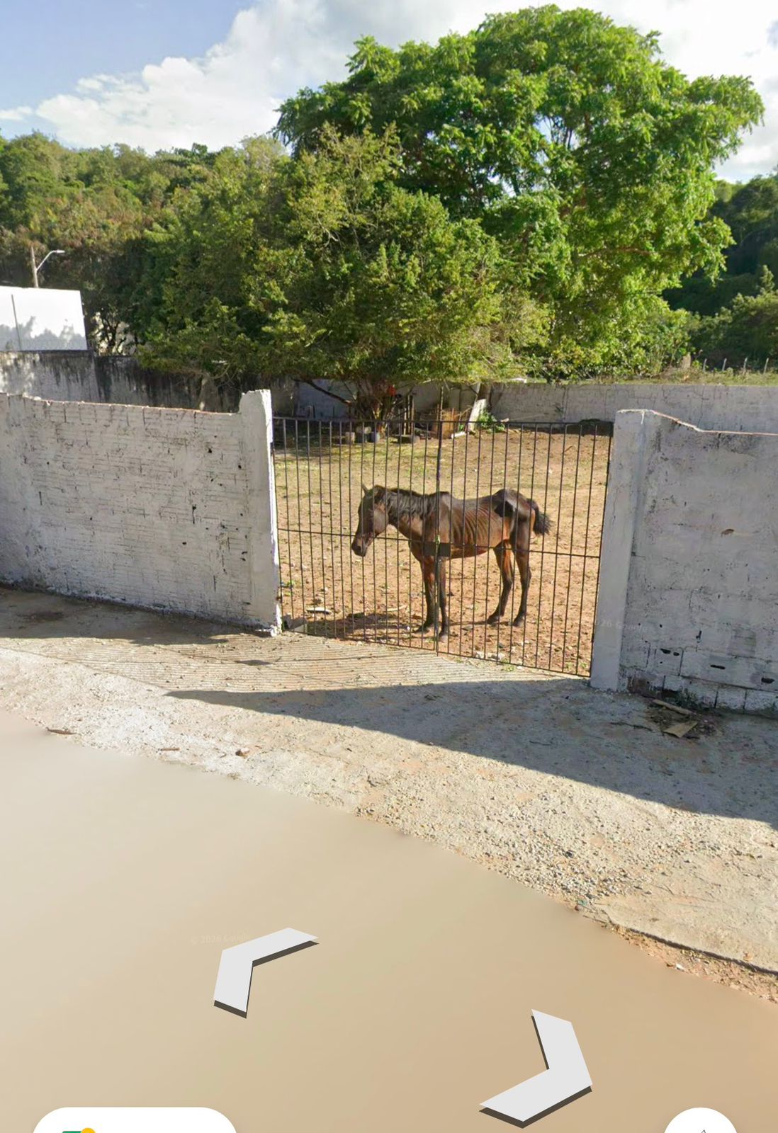 terreno ipern cavalo