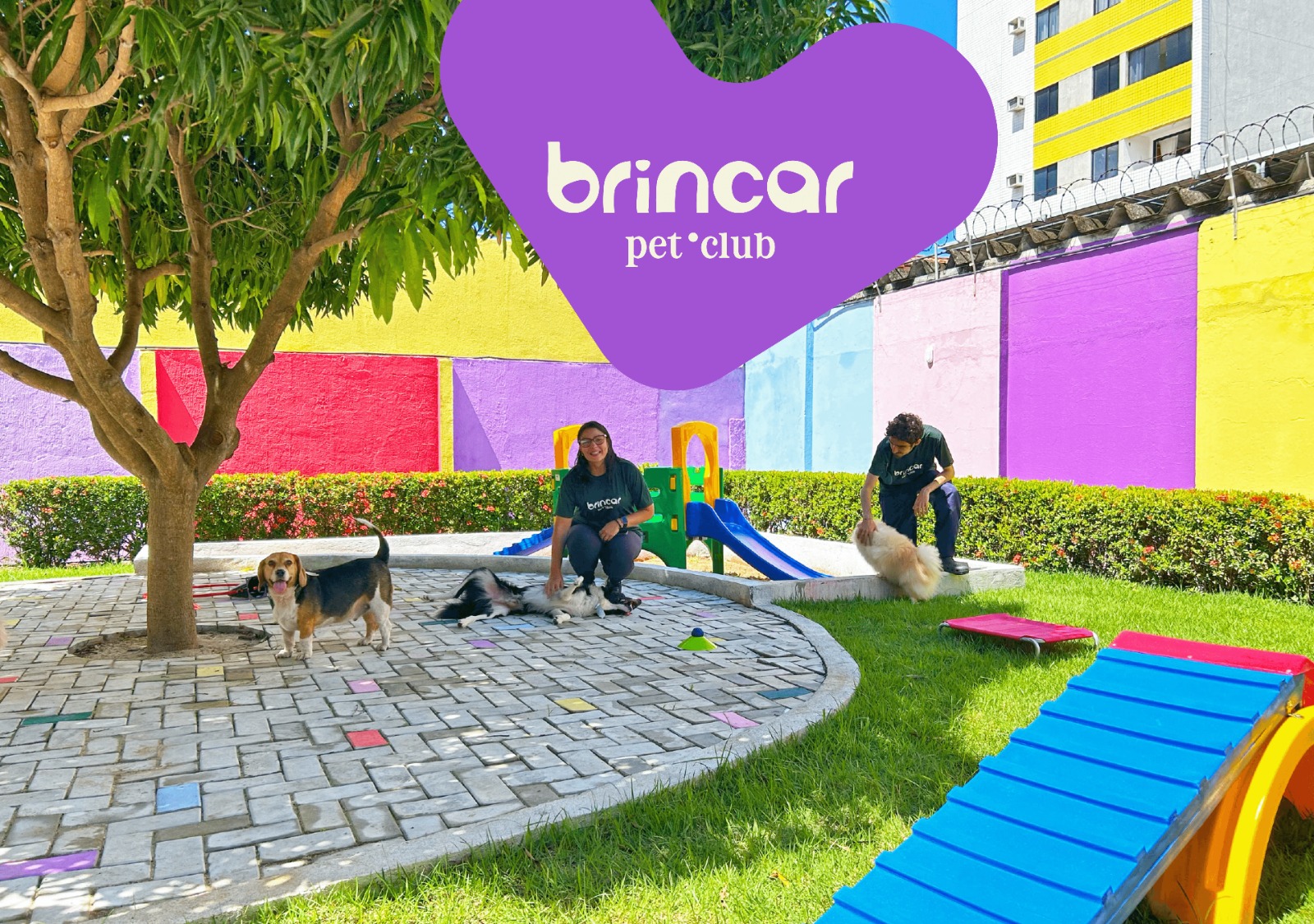 Nova creche pet em Lagoa Nova oferece day-use gratuito para cães em Natal