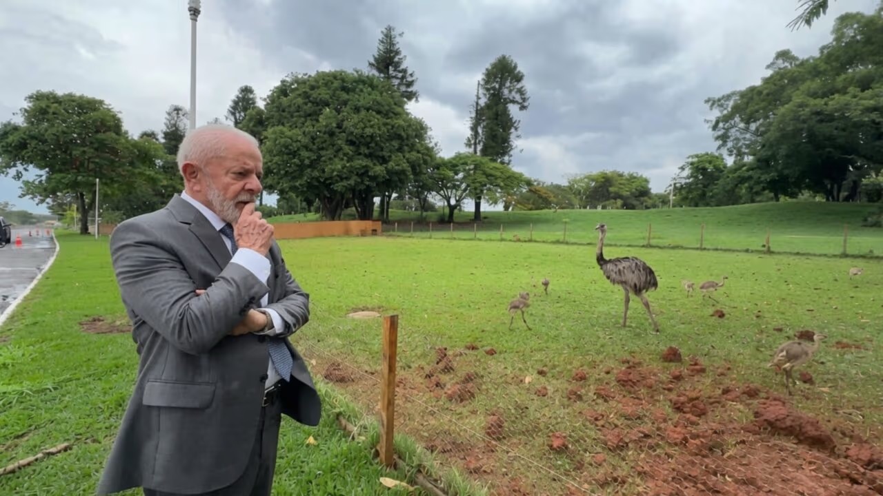 Lula e as emas | Foto: Reprodução de vídeo/ PR