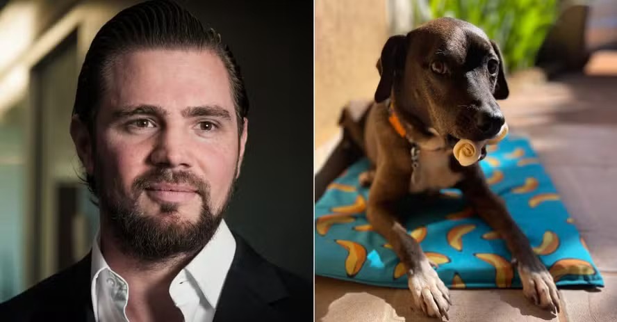 À esquerda, o dono do Banco Master, Daniel Vorcaro; e à direita, o cachorro Pitoco, procurado por drone que irritou o banqueiro — Foto: Ana Paula/Valor e Elias Martins/Arquivo pessoal