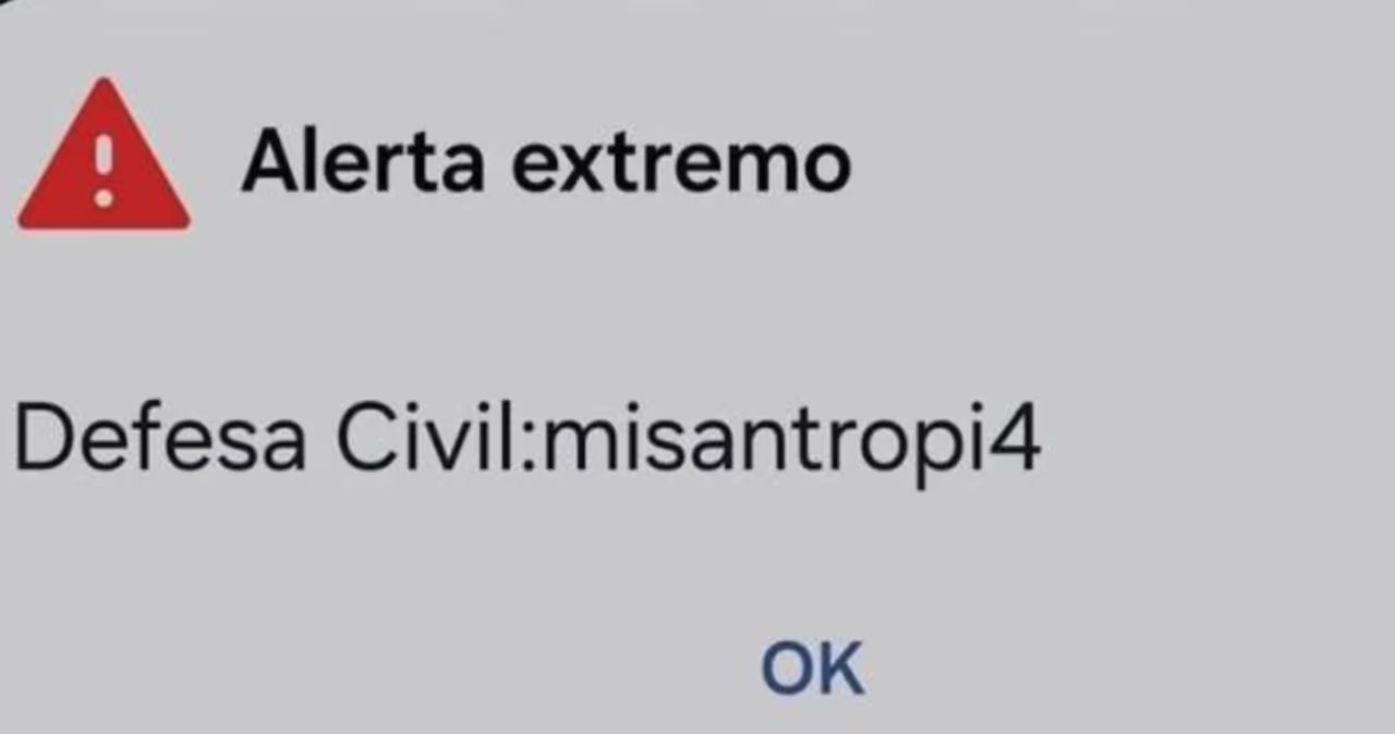 ALERTA DEFESA CIVIL | Reprodução