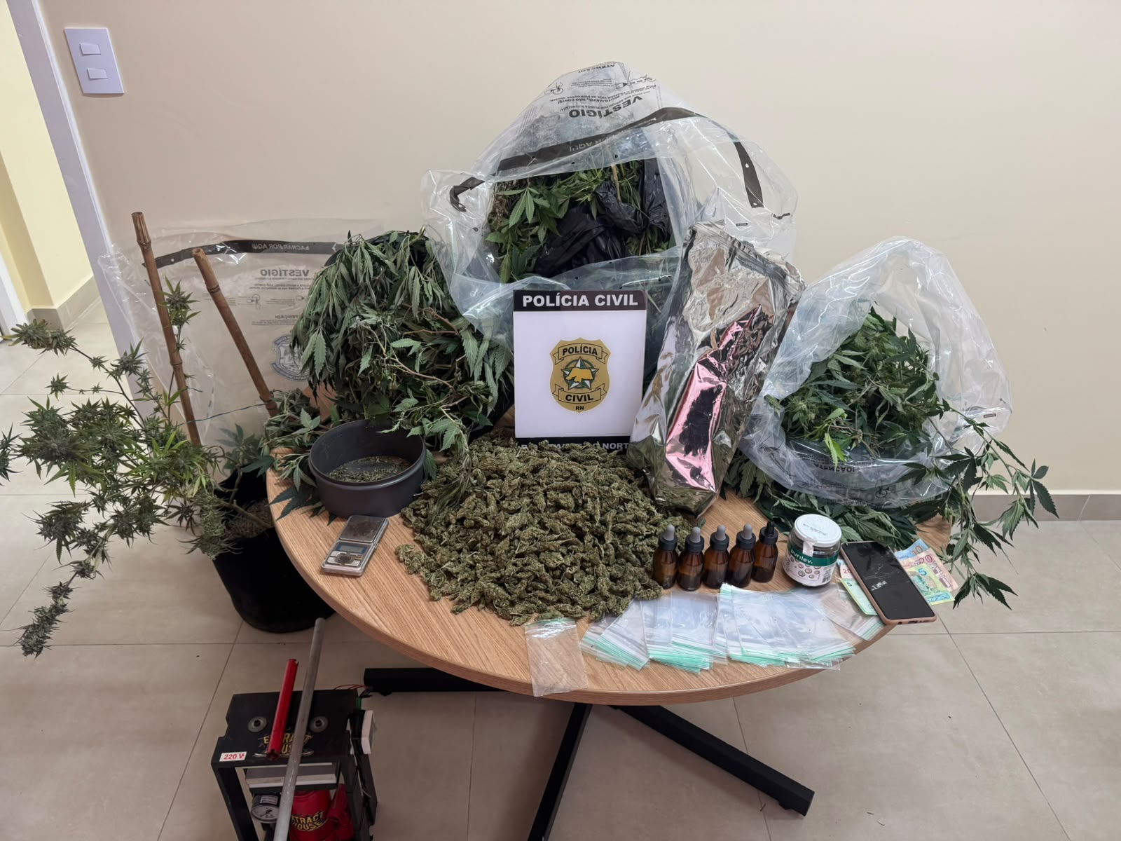 WhatsApp Image 2026-07-23 at 16.07.05.jpeg