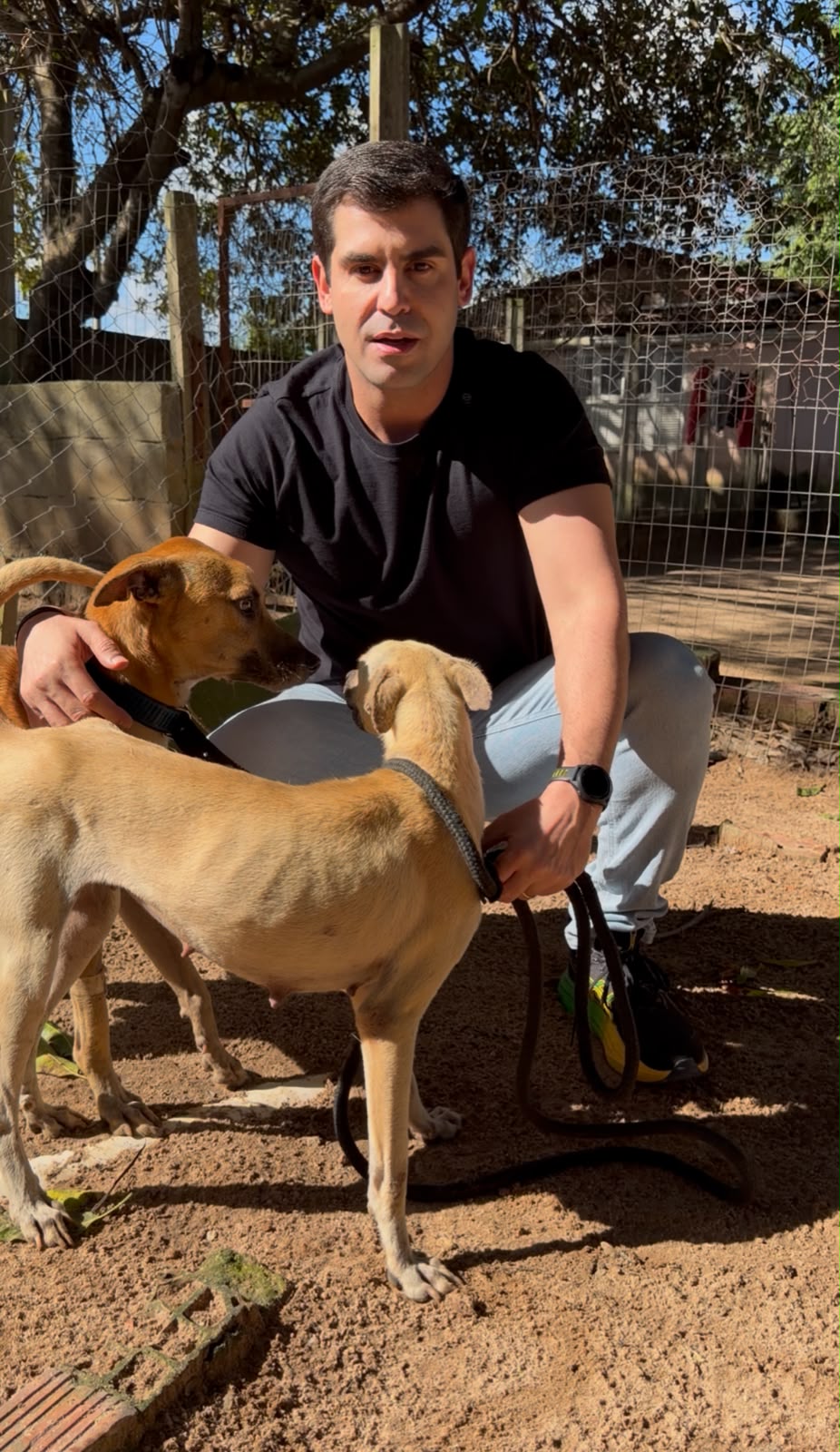 Maus-tratos a animais: lei de autoria do vereador Robson Carvalho impede condenados de ocuparem cargos comissionados na Prefeitura de Natal