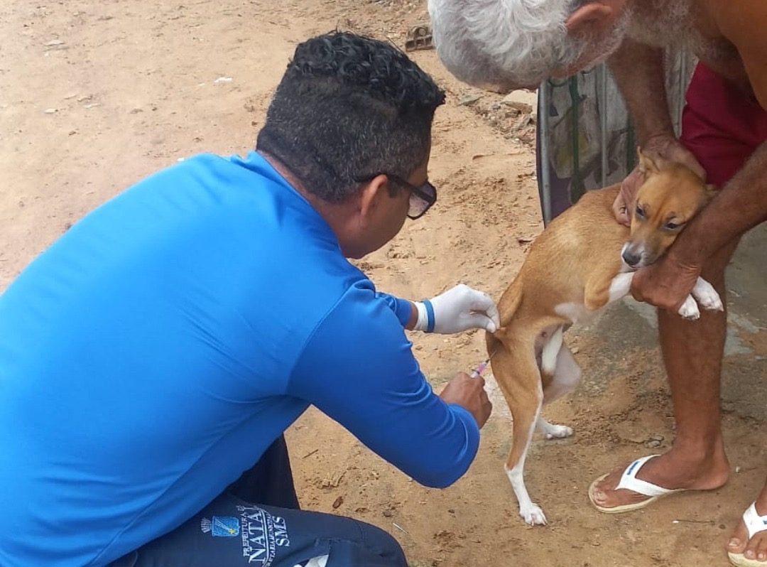 vacinação cachorro | campanha antirrábica | Crédito: SMS