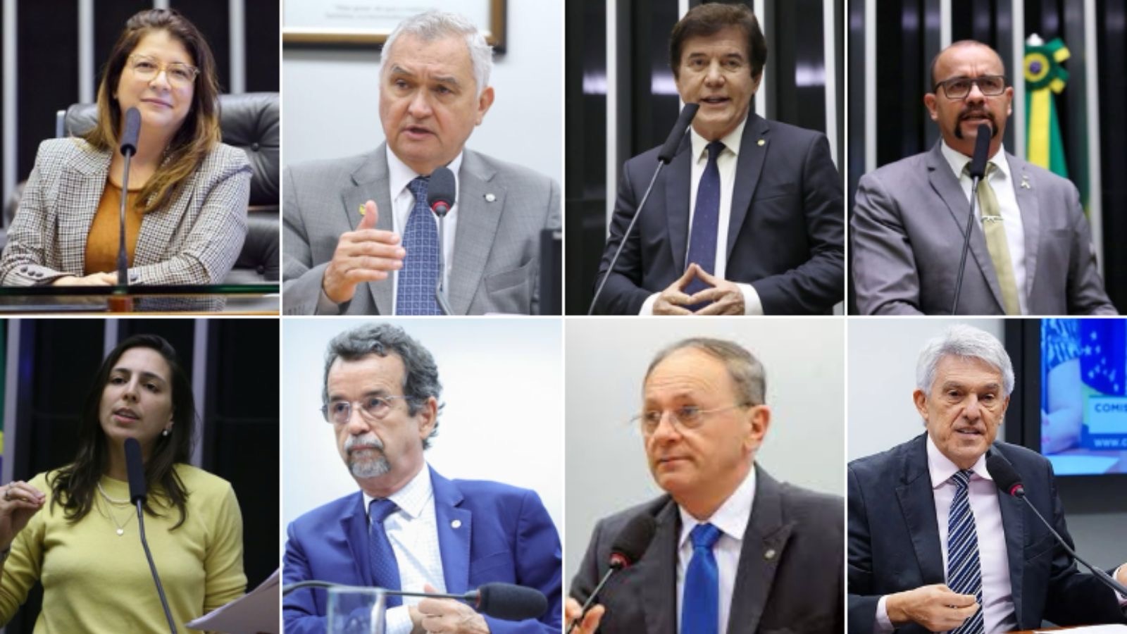 Bancada Deputados Federais RN 2022/2026 | Foto: Reprodução