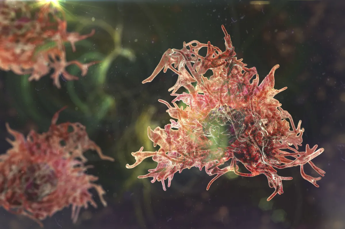 naegleria_fowleri_ameba.webp