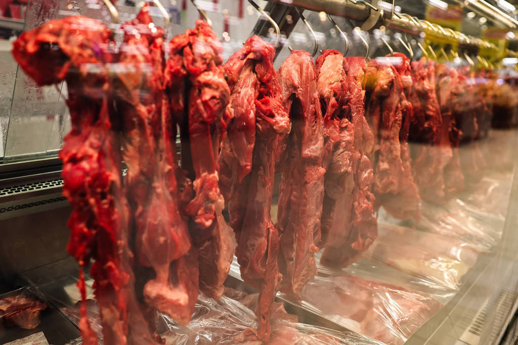 carne bovina