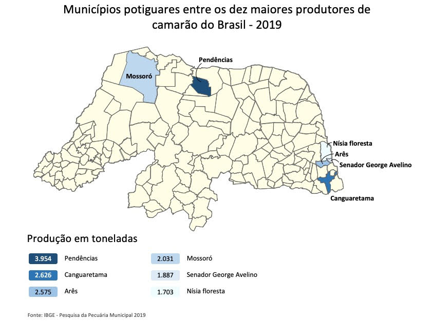 RN: Produção de camarão cresce pelo terceiro ano seguido e chega a 20,7 mil toneladas