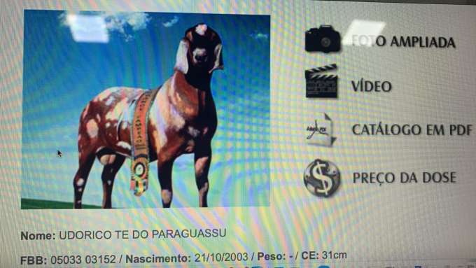 Governo Fátima compra R$ 22 milhões de sêmen