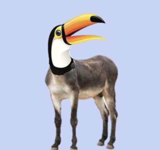 Nasce um novo animal no Brasil 🇧🇷