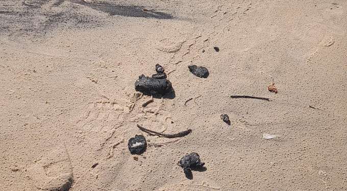 Parnamirim: Prefeitura realiza trabalho de limpeza após manchas de óleo aparecerem no litoral
