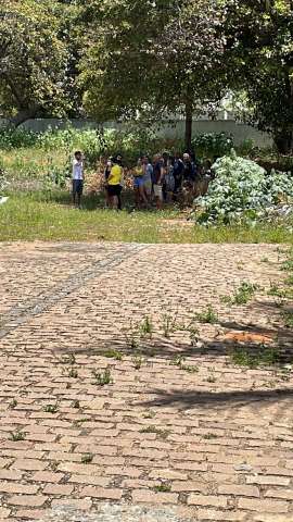Natal: Bagunça e caos no Instituto Kennedy